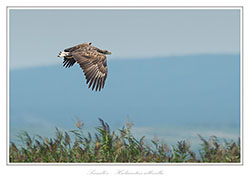 Bild des MonatsOktober 2013