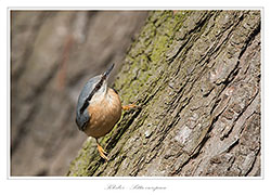 Bild des Monats März 2014