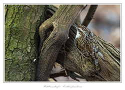 Bild des Monats März 2019