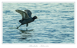 Bild des Monats Mai 2019