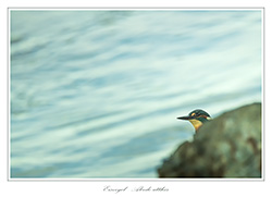 Bild des Monats September 2019