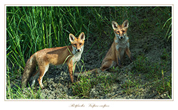 Bild des Monats Oktober 2019