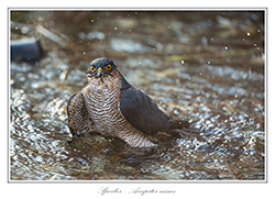 Bild des Monats Februar 2019