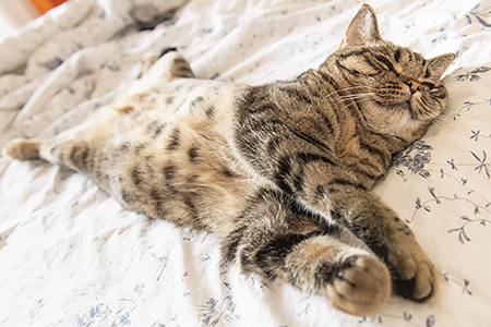 Gina nach dem Frühstück