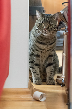 Gina auf der Suche 2