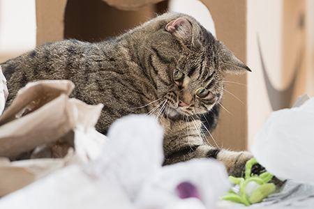 Gina wieder munter ...