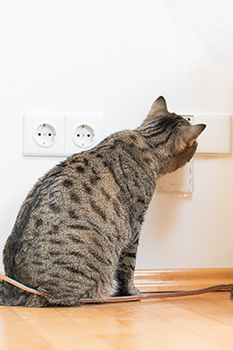 Gina beim Kabelziehen