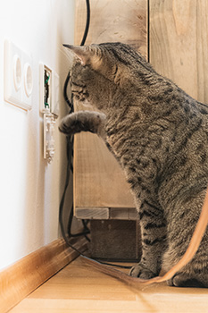 Gina beim Kabelziehen