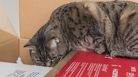 Gina beim Erforschen