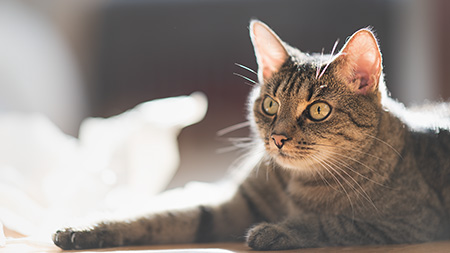 Lilly am Sonnenplatzerl