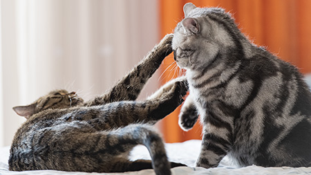 Gina und Paul im Bett 4