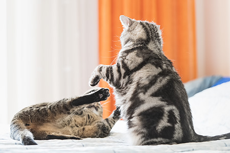 Gina und Paul im Bett 7