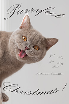 Jerry wünscht Frohe Weihnachten